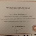 Resmi büyüt: certificate 2