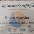 Resmi büyüt: certificate 3