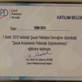 Resmi büyüt: certificate 9