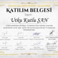 Resmi büyüt: certificate 9