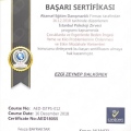 Resmi büyüt: certificate 1
