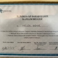 Resmi büyüt: certificate 24
