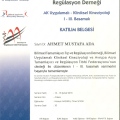 Resmi büyüt: certificate 92