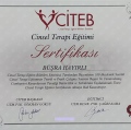 Resmi büyüt: certificate 23