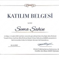 Resmi büyüt: certificate 2