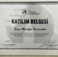 Resmi büyüt: certificate 10
