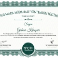 Resmi büyüt: certificate 7