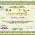 Resmi büyüt: certificate 35