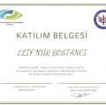 Resmi büyüt: certificate 3
