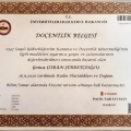 Resmi büyüt: certificate 2