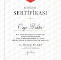 Resmi büyüt: certificate 9