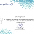 Resmi büyüt: certificate 5