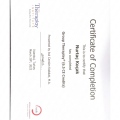 Resmi büyüt: certificate 2