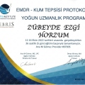 Resmi büyüt: certificate 10