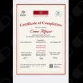 Resmi büyüt: certificate 3
