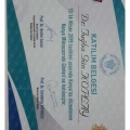 Resmi büyüt: certificate 21
