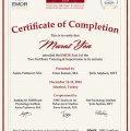 Resmi büyüt: certificate 3