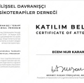 Resmi büyüt: certificate 14