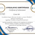 Resmi büyüt: certificate 14