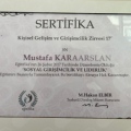 Resmi büyüt: certificate 13