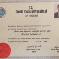 Resmi büyüt: certificate 8