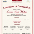 Resmi büyüt: certificate 15