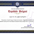 Resmi büyüt: certificate 9