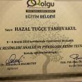 Resmi büyüt: certificate 13
