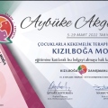Resmi büyüt: certificate 2