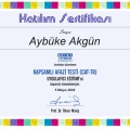 Resmi büyüt: certificate 20