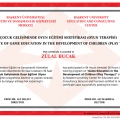 Resmi büyüt: certificate 8