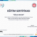 Resmi büyüt: certificate 5