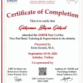 Resmi büyüt: certificate 3
