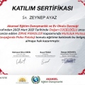 Resmi büyüt: certificate 11