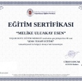 Resmi büyüt: certificate 13