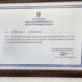 Resmi büyüt: certificate 1