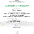 Resmi büyüt: certificate 3