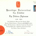 Resmi büyüt: certificate 2