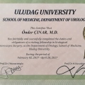 Resmi büyüt: certificate 3
