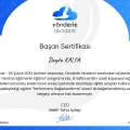 Resmi büyüt: certificate 8
