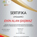 Resmi büyüt: certificate 1