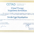 Resmi büyüt: certificate 6