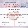 Resmi büyüt: certificate 13