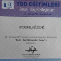 Resmi büyüt: certificate 5