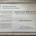 Resmi büyüt: certificate 10