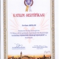 Resmi büyüt: certificate 34