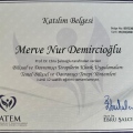 Resmi büyüt: certificate 2