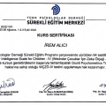 Resmi büyüt: certificate 4