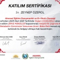 Resmi büyüt: certificate 8