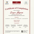 Resmi büyüt: certificate 1